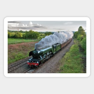 Flying Scotsman Magnet